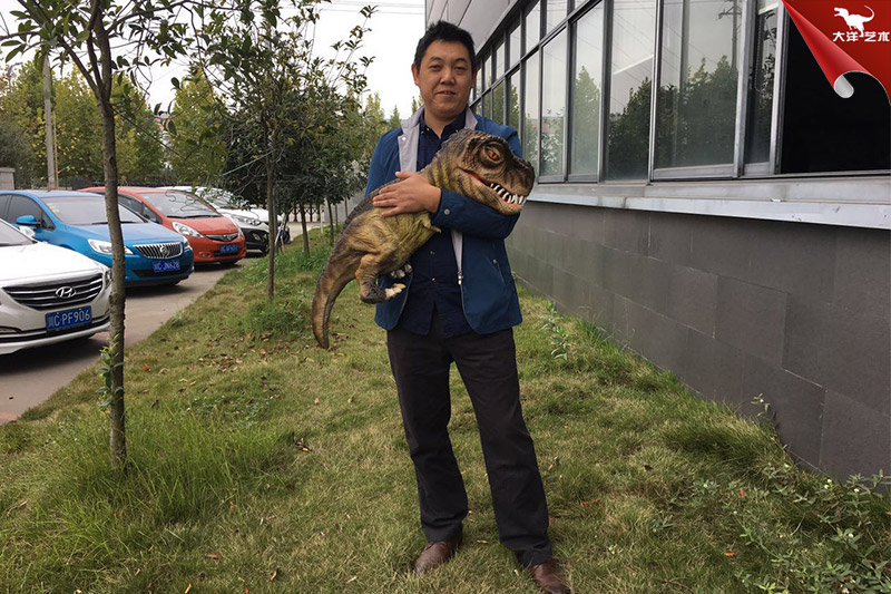 恐龍手偶，抱在手里的恐龍