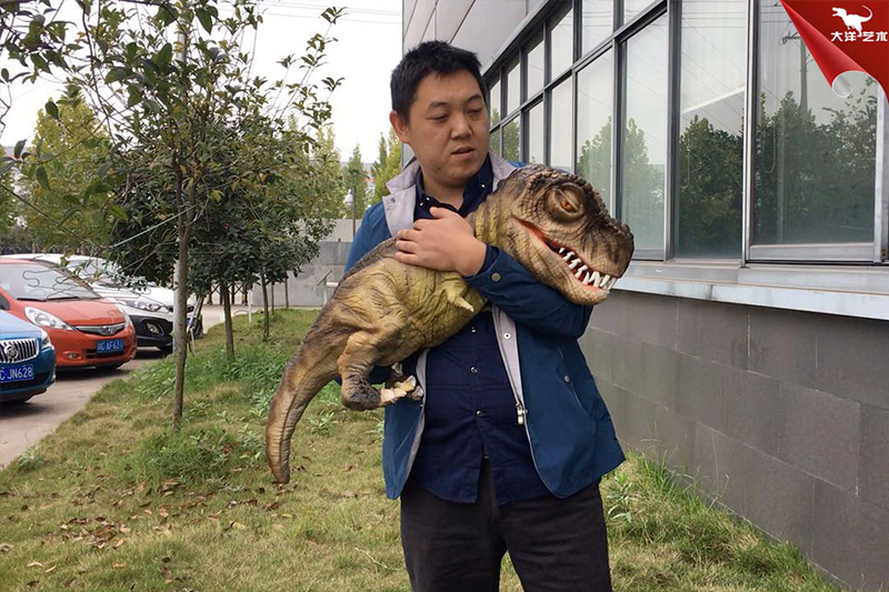 恐龍手偶，抱在手里的恐龍