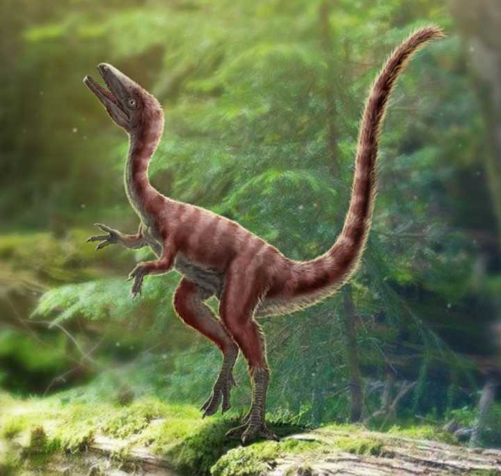 古生物學家在中國發現了真正的迅猛龍